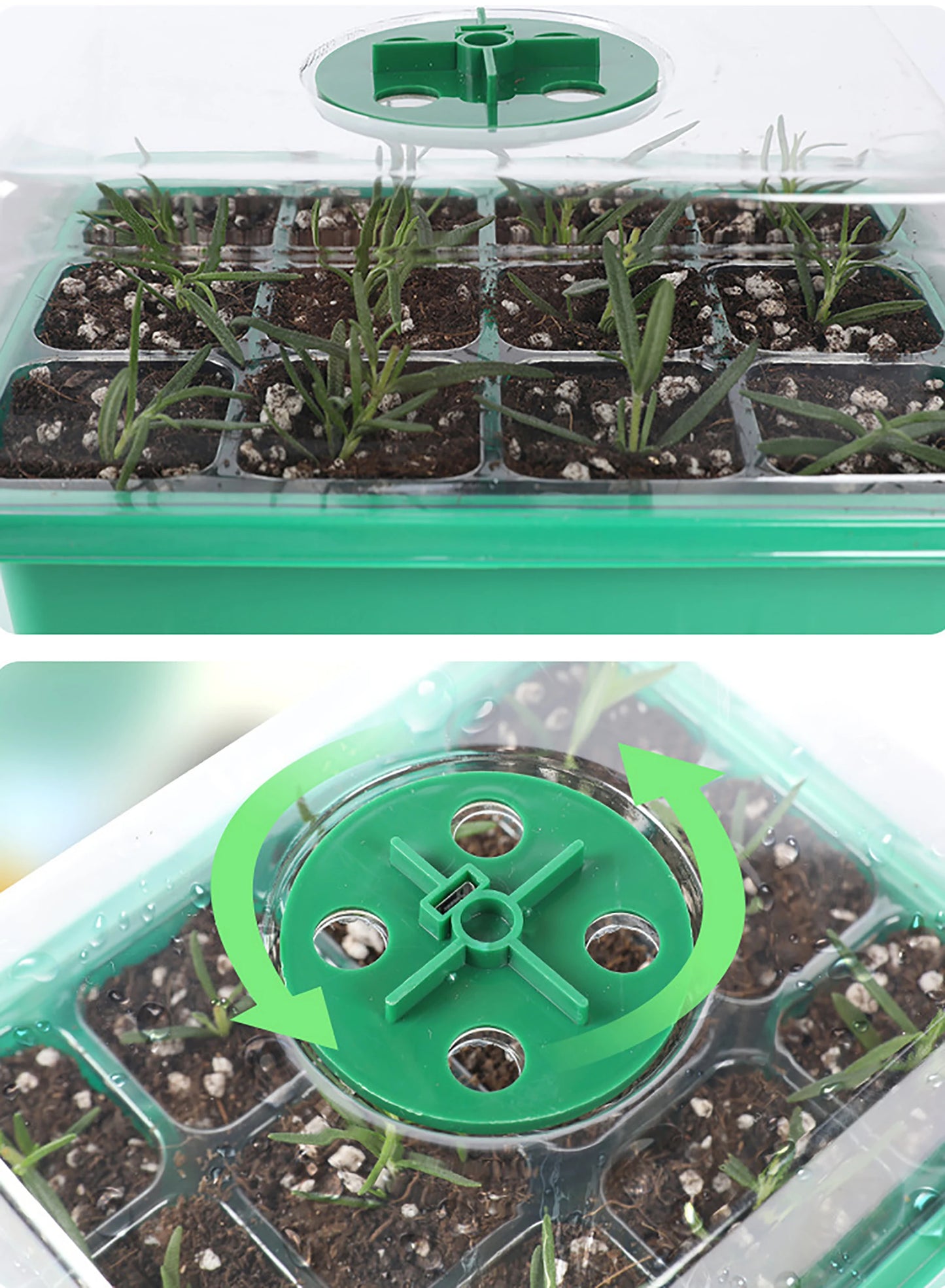 Nursery  Seedling Germination Planter  With LED Grow Light, Adjustable Ventilation Humidity 6/12/13 Cell