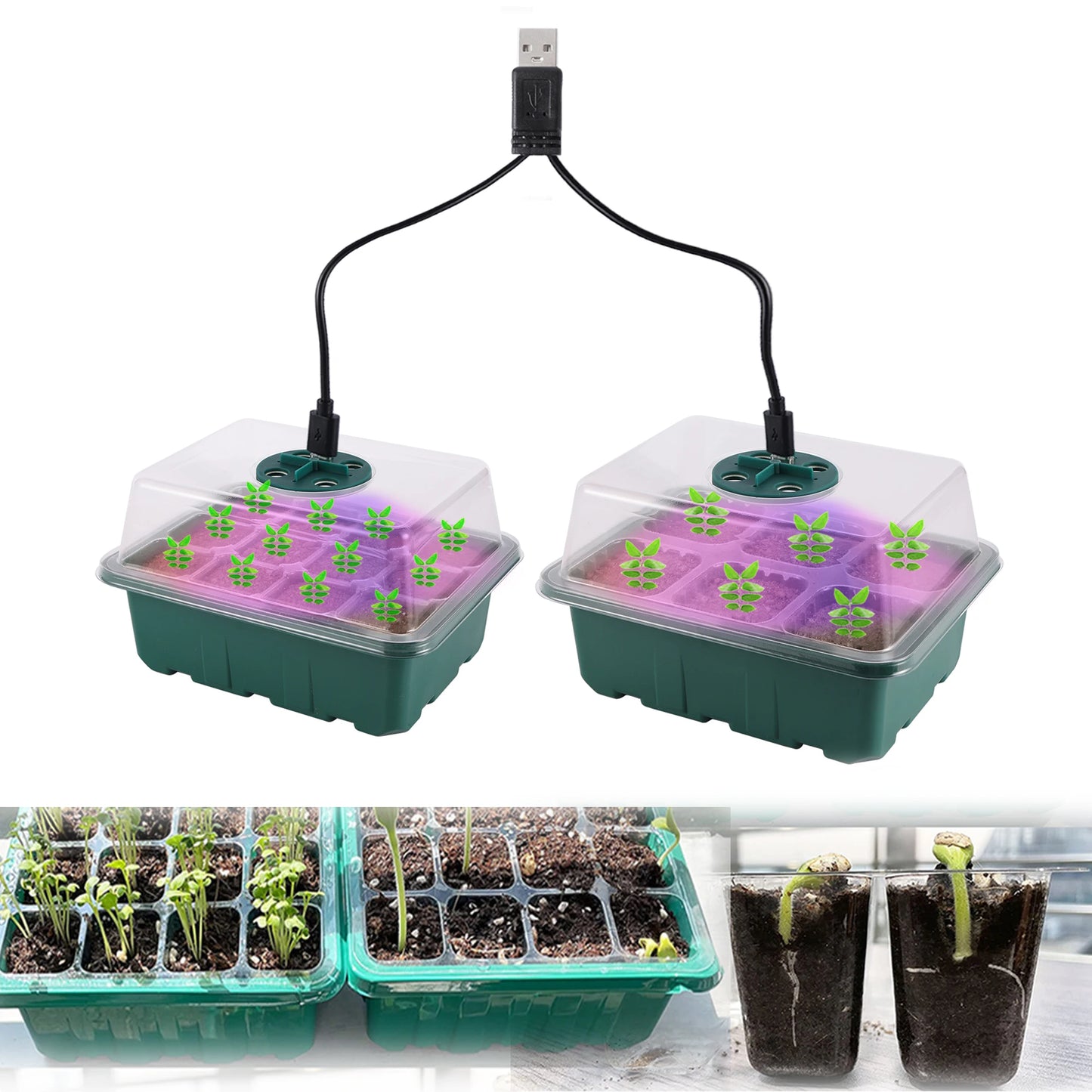 Nursery  Seedling Germination Planter  With LED Grow Light, Adjustable Ventilation Humidity 6/12/13 Cell