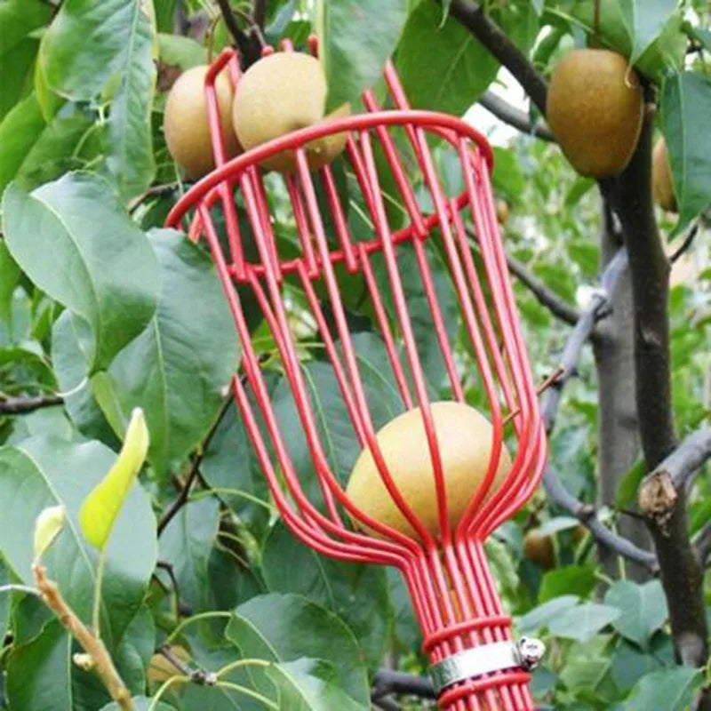 Deep Basket Convenient Fruit Picker Catcher  Garden tools