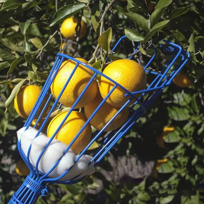 Deep Basket Convenient Fruit Picker Catcher  Garden tools